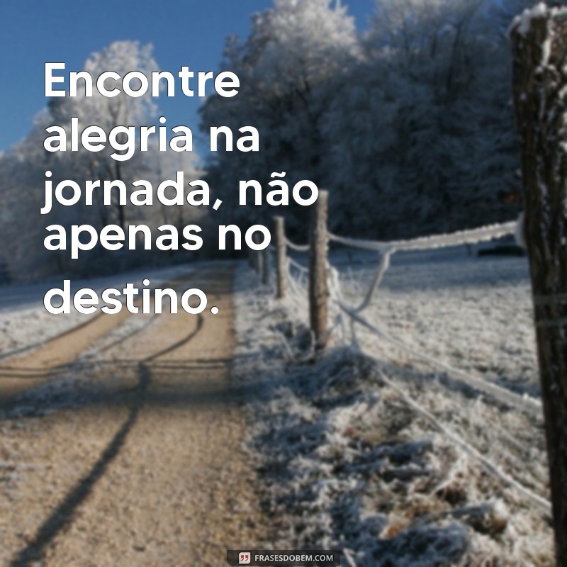 Frases Inspiradoras sobre Atividade Física para Motivar seu Treino 