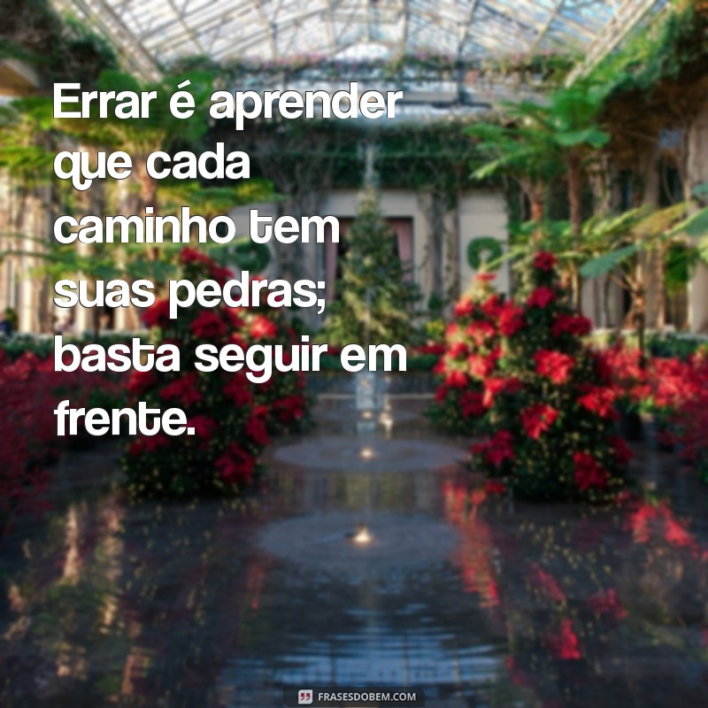 errar aprender superar e recomeçar Errar é aprender que cada caminho tem suas pedras; basta seguir em frente.