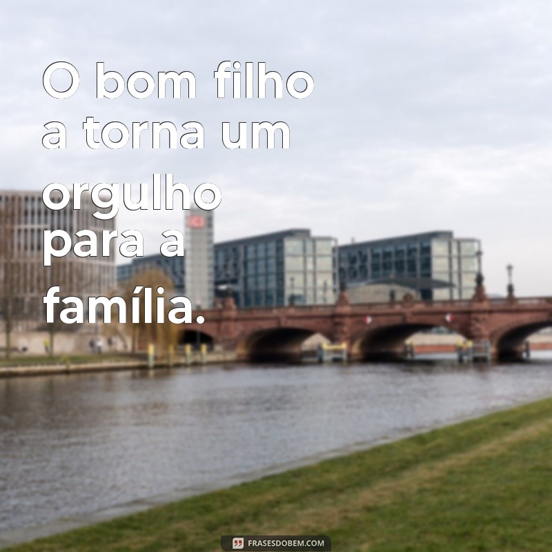 frases o bom filho a torna O bom filho a torna um orgulho para a família.