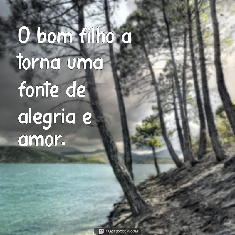 Frases Inspiradoras: O Bom Filho Sempre Torna 