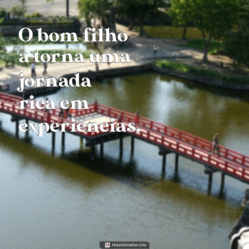 Frases Inspiradoras: O Bom Filho Sempre Torna 