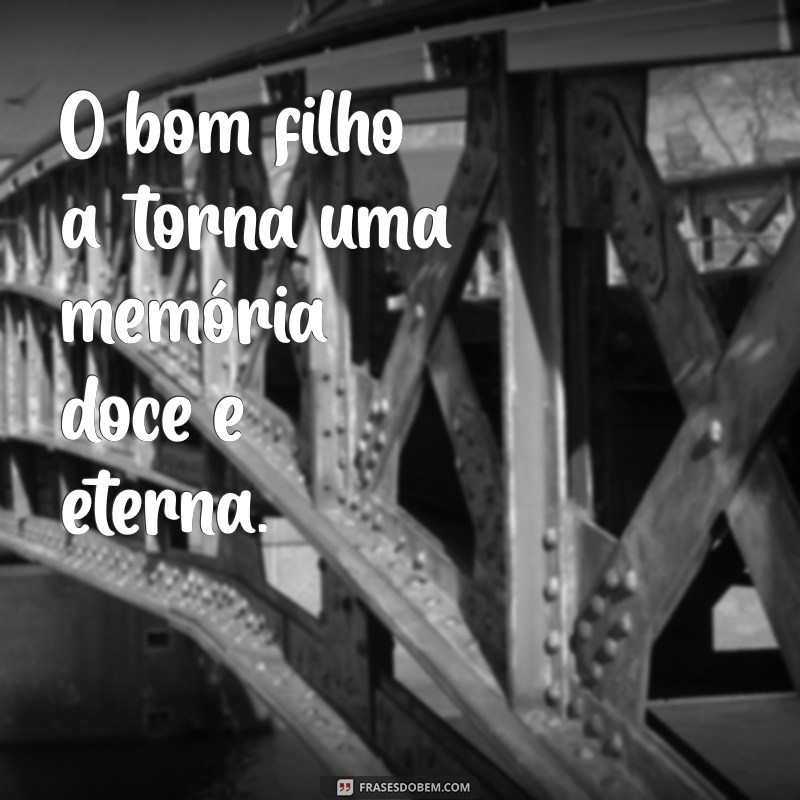 Frases Inspiradoras: O Bom Filho Sempre Torna 