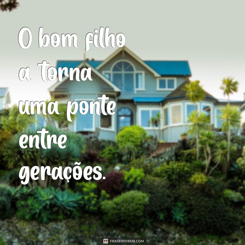 Frases Inspiradoras: O Bom Filho Sempre Torna 