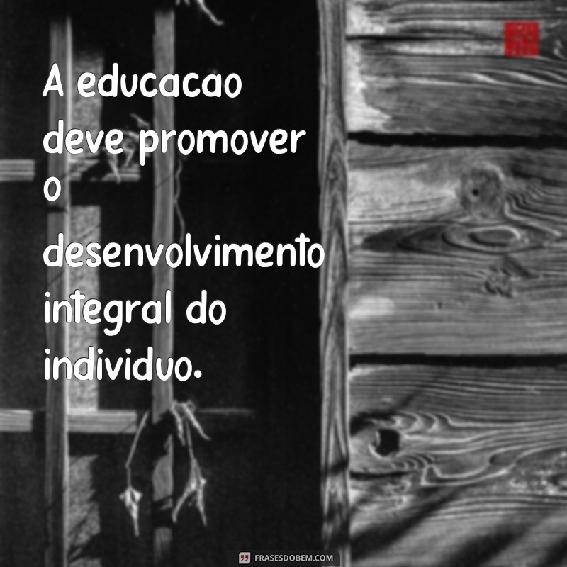 Descubra as melhores frases inspiradoras de grandes pedagogas 