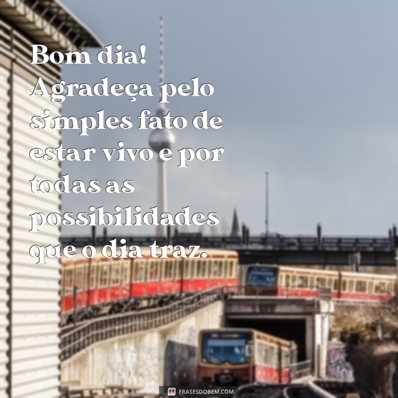 Frases Inspiradoras de Gratidão para Começar o Dia com Positividade 