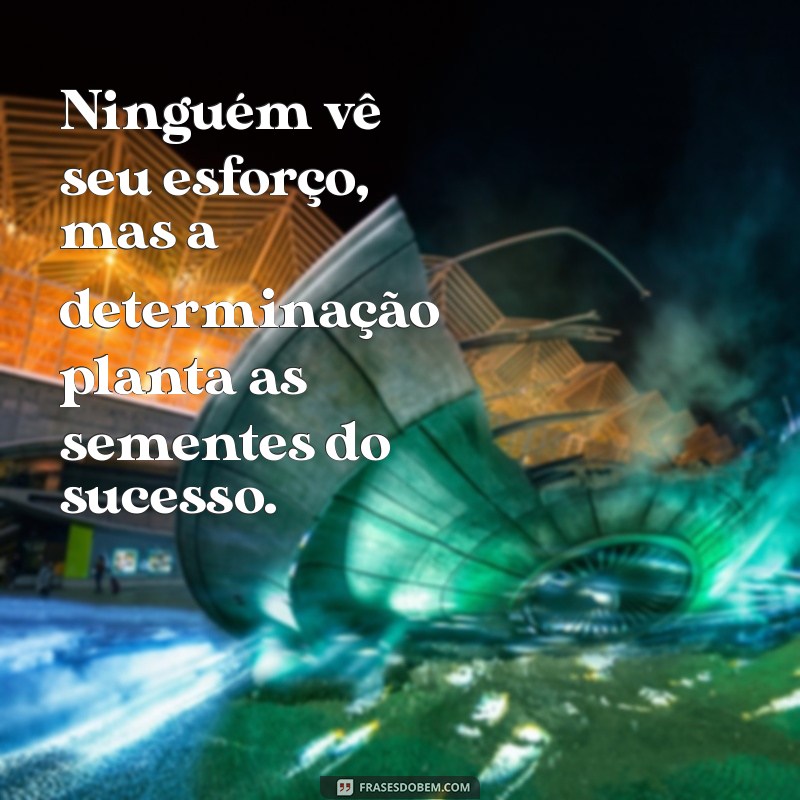 ninguém ver seu esforço Ninguém vê seu esforço, mas a determinação planta as sementes do sucesso.