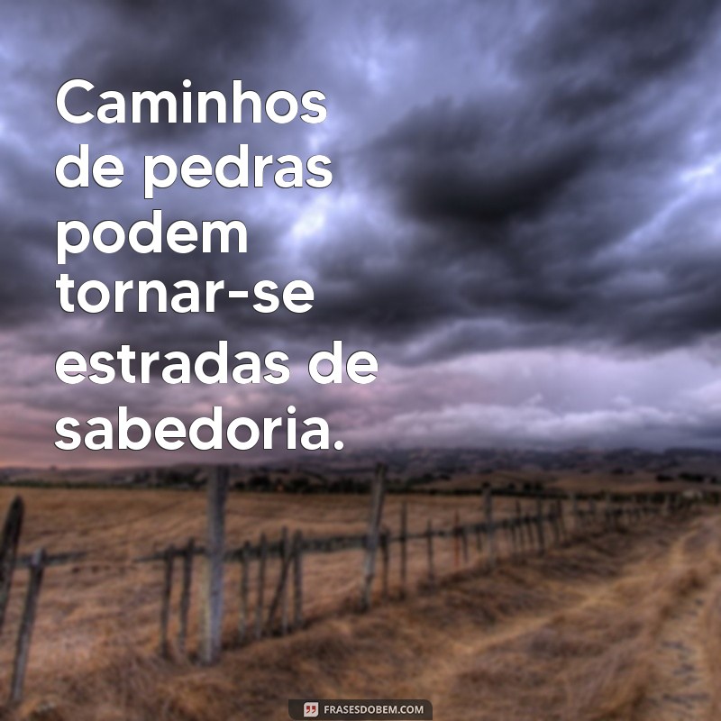 Descubra Frases Inspiradoras sobre os Caminhos da Vida 