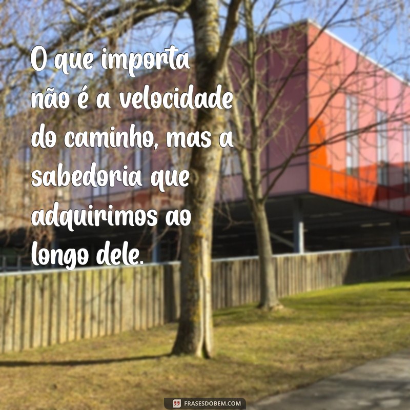 Descubra Frases Inspiradoras sobre os Caminhos da Vida 