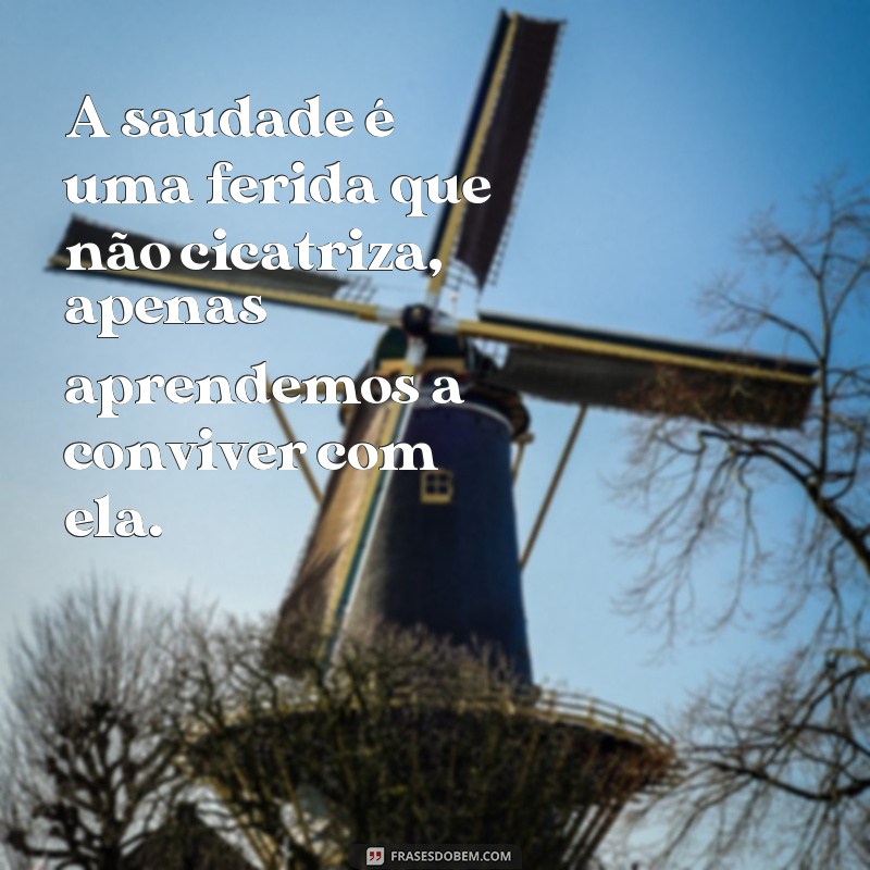 Relembrando com amor: 127 frases sobre saudade de quem partiu 