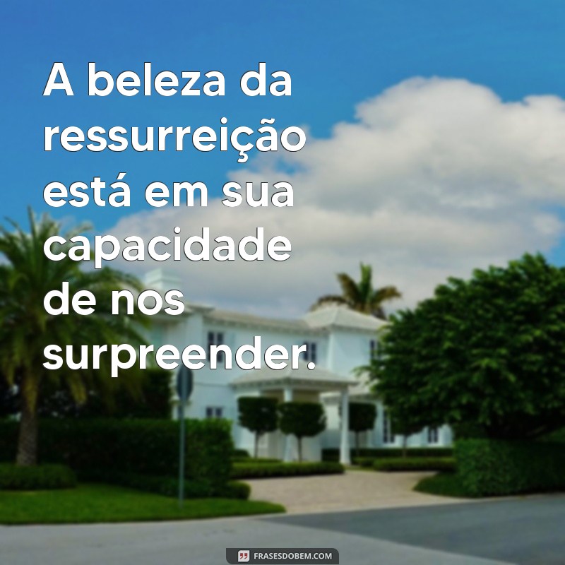 Ressurreição: Mensagens Inspiradoras para Renovar a Esperança 