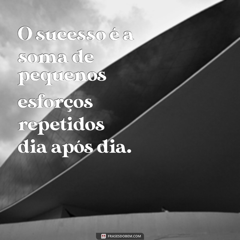 frases para treino O sucesso é a soma de pequenos esforços repetidos dia após dia.