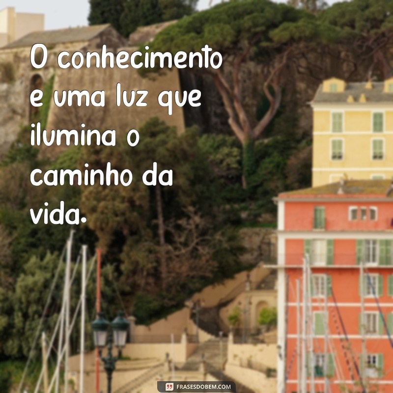 Frases Inspiradoras de Maomé: Sabedoria e Reflexões para o Dia a Dia 