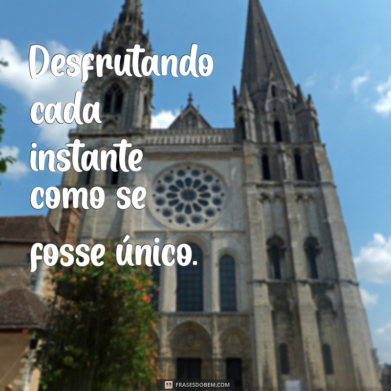 Melhores Frases para Acompanhar Suas Fotos e Encantar nas Redes Sociais 