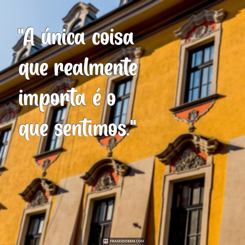 pequeno principe cativar frases 