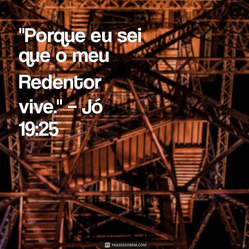 versículo da biblia 