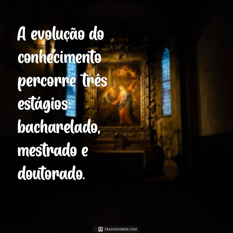 Entenda as Diferenças entre Mestrado, Doutorado e Bacharelado: Qual o Melhor Caminho para Sua Carreira? 