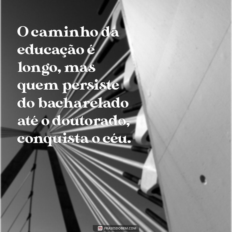 Entenda as Diferenças entre Mestrado, Doutorado e Bacharelado: Qual o Melhor Caminho para Sua Carreira? 