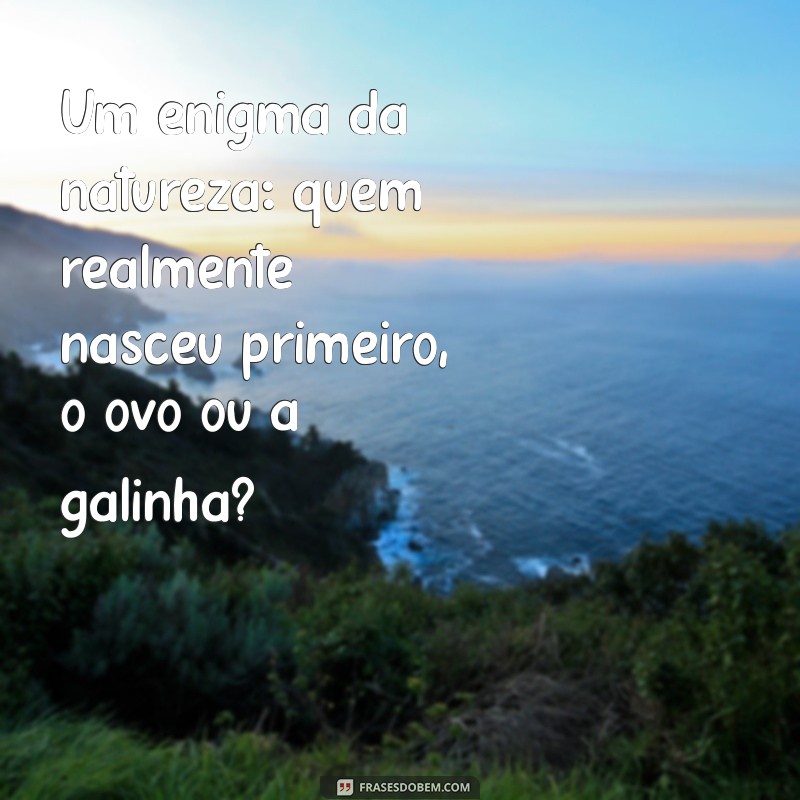 Descubra a Verdade: Quem Nasceu Primeiro, o Ovo ou a Galinha? 