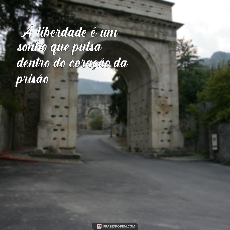 frases para presos canta liberdade 