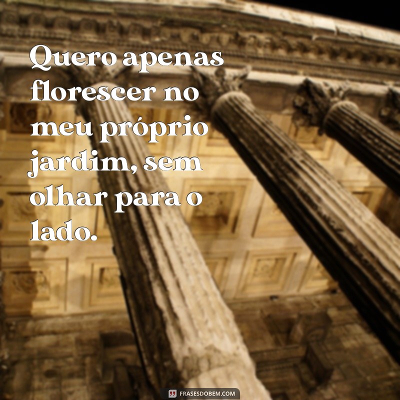 Frases Inspiradoras: Não Quero Ser Melhor que Ninguém 