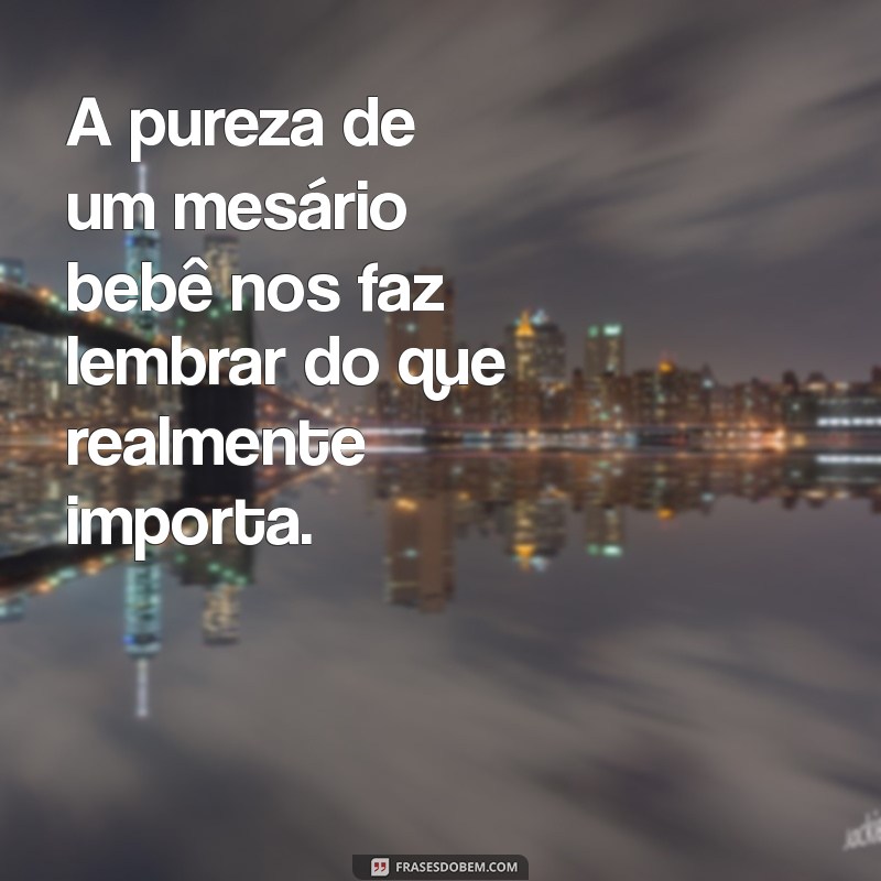 Como Ser um Mesário e o Que Fazer Durante as Eleições: Dicas e Cuidados 