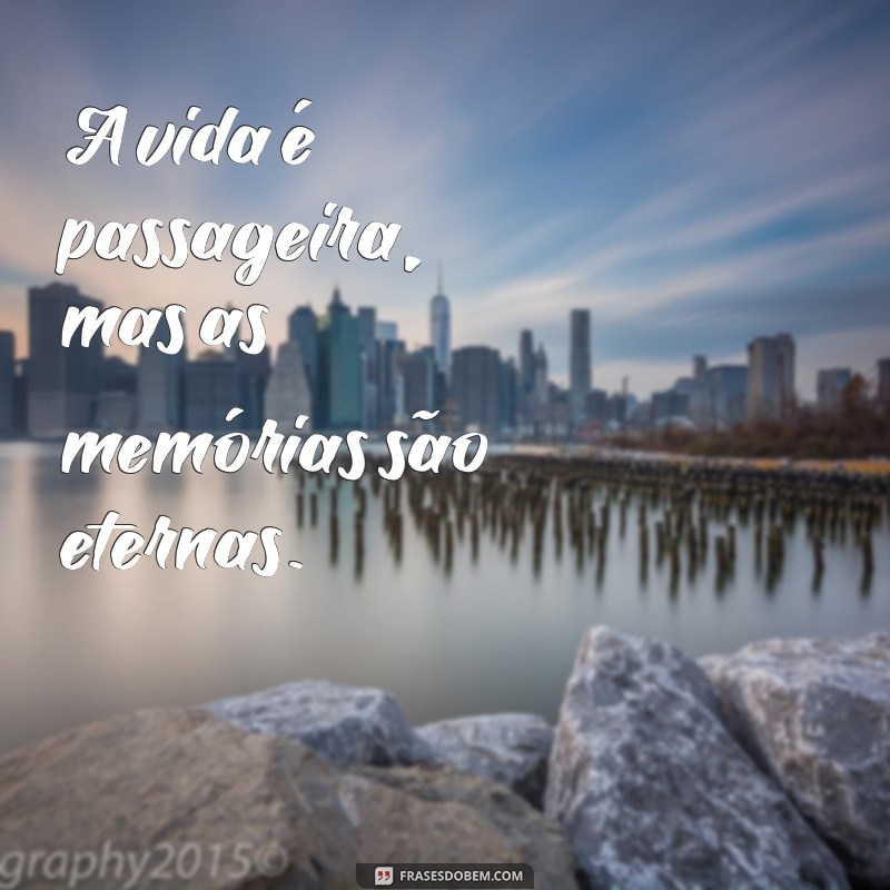 Versículos de Consolo para Luto: Palavras de Esperança em Momentos Difíceis 