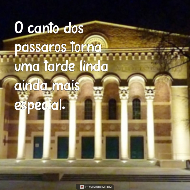 Descubra Como Aproveitar uma Tarde Linda: Dicas e Inspirações 