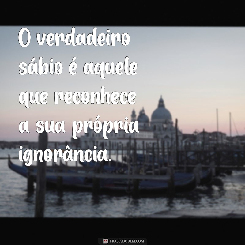 As Melhores Frases de Luis Fernando Verissimo: Reflexões e Humor 