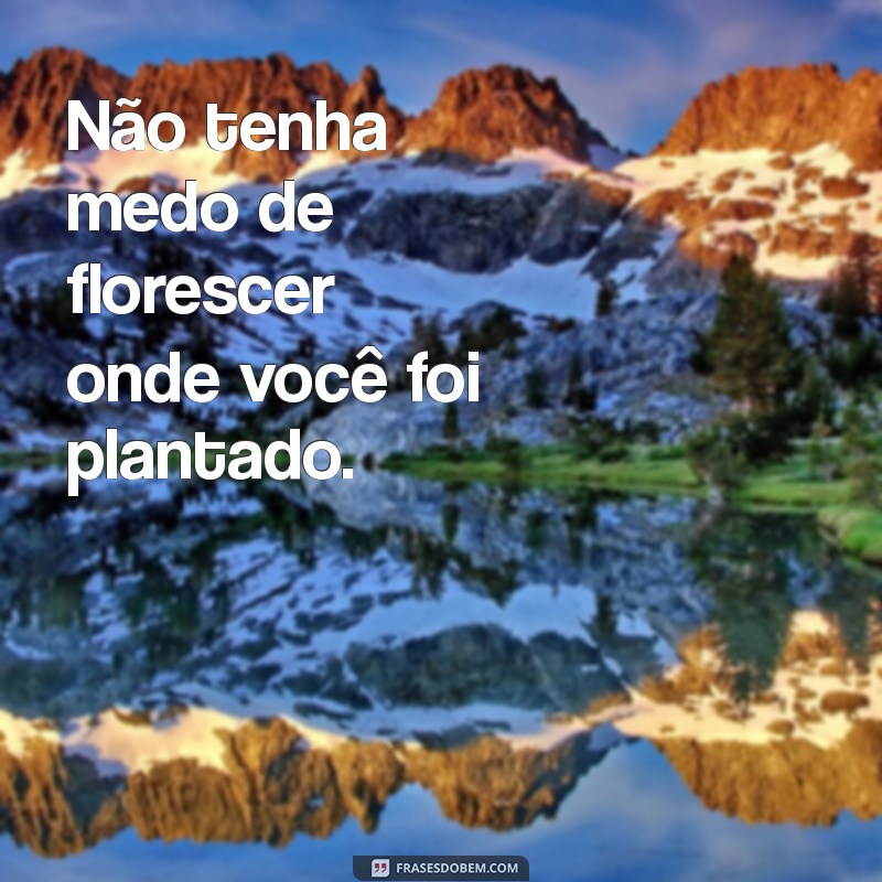 Florescer: Frases Inspiradoras para Tumblr que Encantam e Motivam 