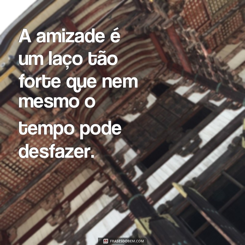 Descubra as melhores frases de amizade para compartilhar com seus amigos! 