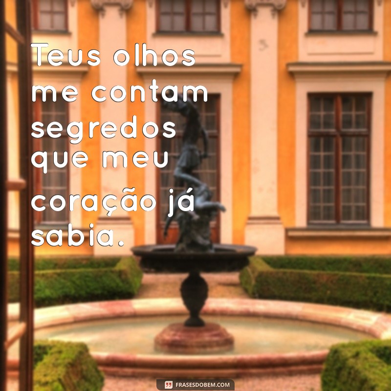 As Melhores Frases de Amor para Declarar Seus Sentimentos 