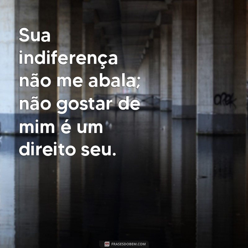 Como Lidar com a Indiferença: Aceitando que Não Gostar de Mim É um Direito Seu 