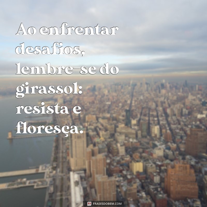 Frases Inspiradoras sobre Girassóis: Beleza e Simbolismo em Palavras 