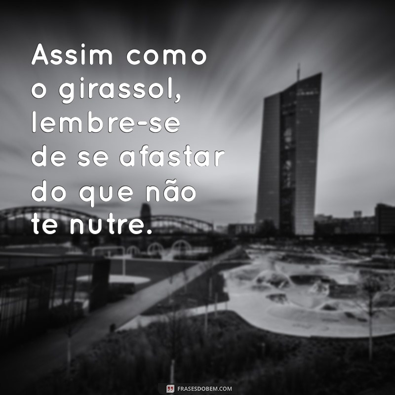 Frases Inspiradoras sobre Girassóis: Beleza e Simbolismo em Palavras 