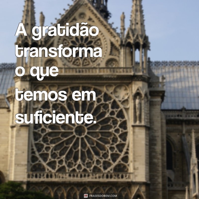 mensagens do bem A gratidão transforma o que temos em suficiente.