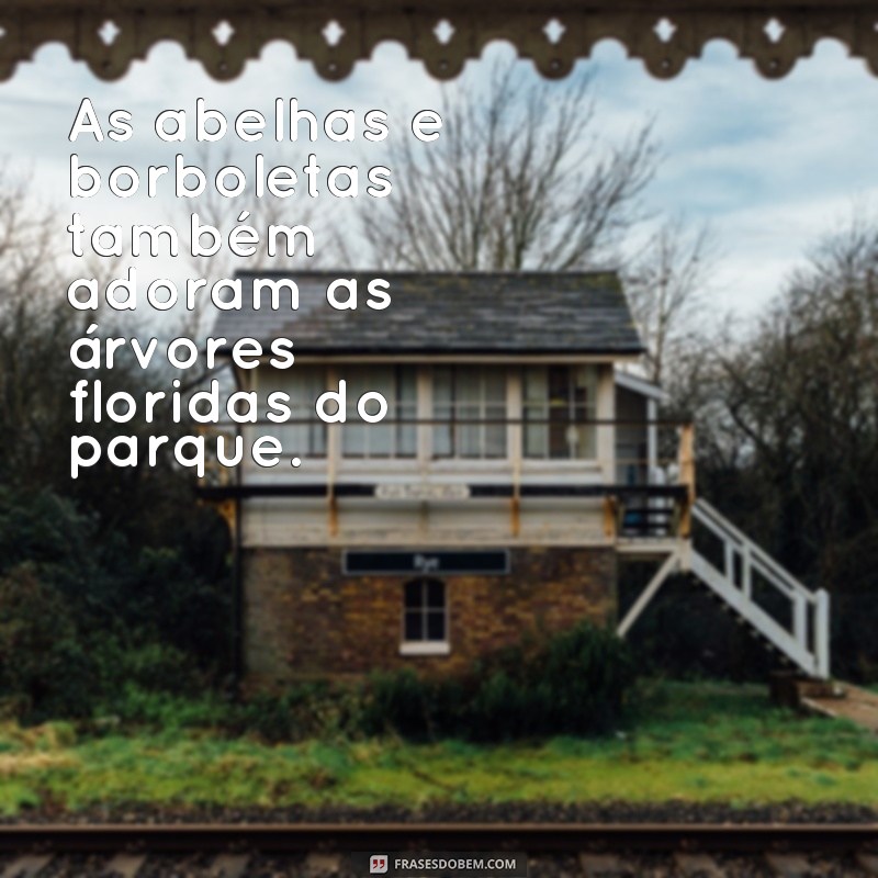 Descubra as belas árvores floridas do parque em frases inspiradoras 