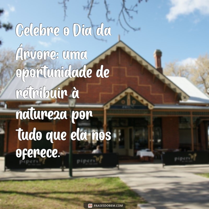 Frases Inspiradoras para Celebrar o Dia da Árvore 