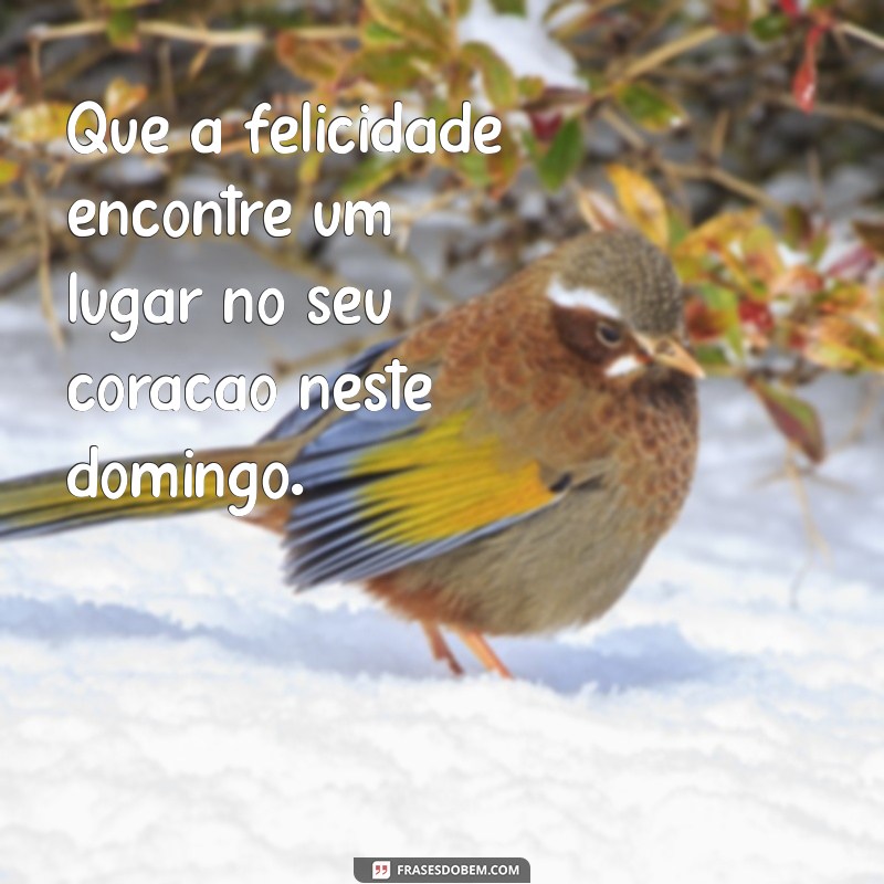 Frases Inspiradoras de Bom Dia para um Domingo Abençoado 