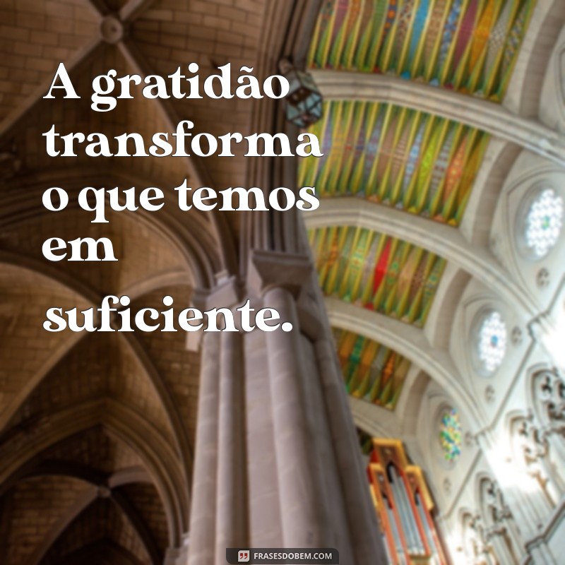 frases sobre ser grato A gratidão transforma o que temos em suficiente.