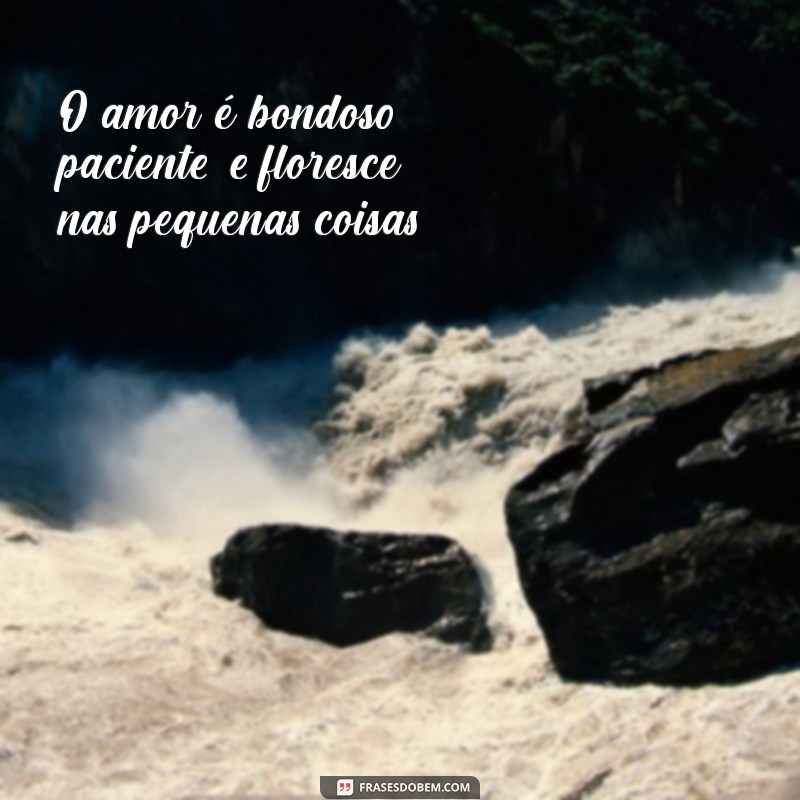 Descubra Como o Amor é Bondoso e Paciente: Reflexões sobre Relacionamentos 