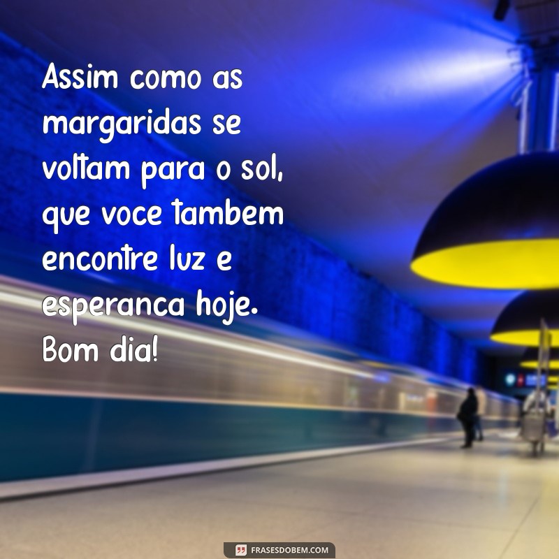 Mensagem de Bom Dia: Inspire-se com Frases Encantadoras e Margaridas 