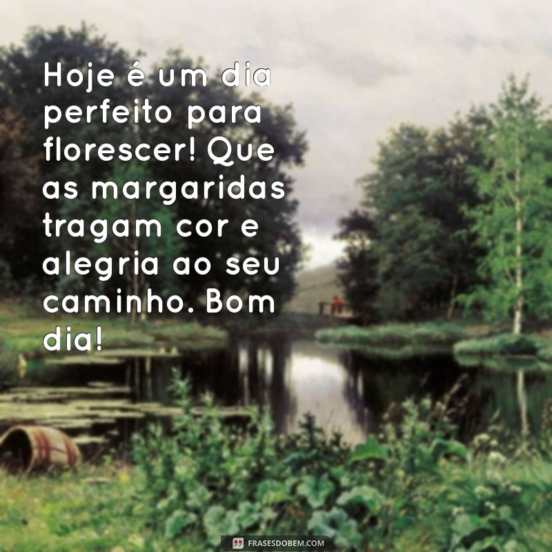 Mensagem de Bom Dia: Inspire-se com Frases Encantadoras e Margaridas 