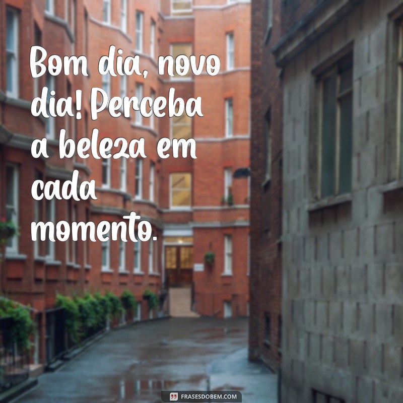 Bom Dia: Como Começar um Novo Dia com Positividade e Motivação 