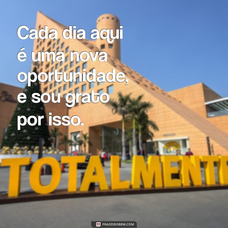 Frases Inspiradoras de Agradecimento para Valorizar o Trabalho em Equipe 