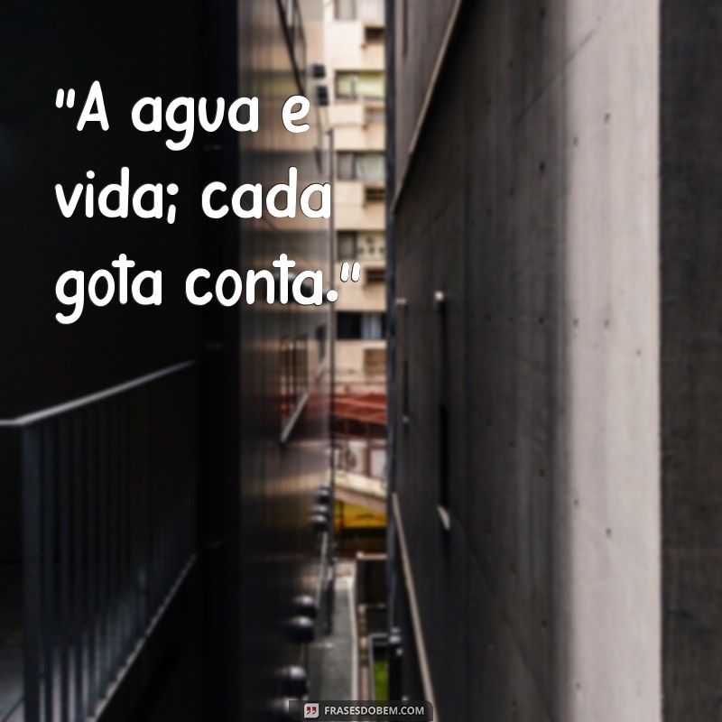 frases do dia da água 