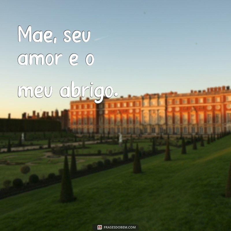 frases dia das mães curta Mãe, seu amor é o meu abrigo.