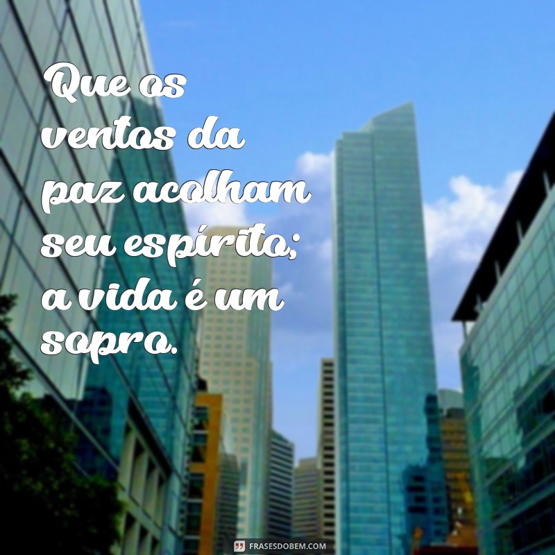 A Vida é um Sopro: Reflexões sobre a Impermanência e a Paz 