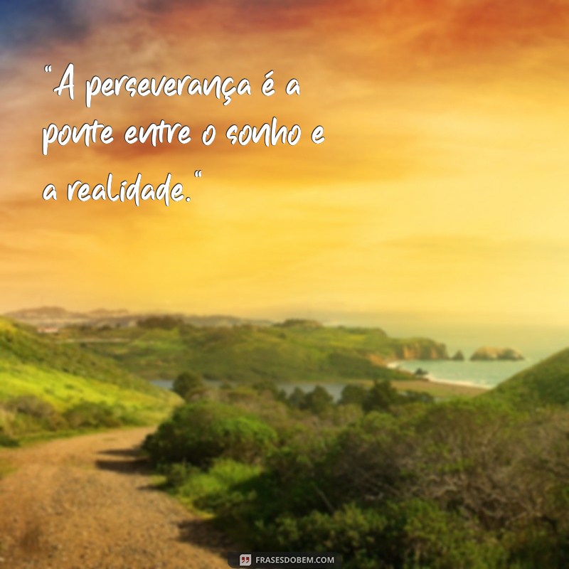 frases de perceveranca 