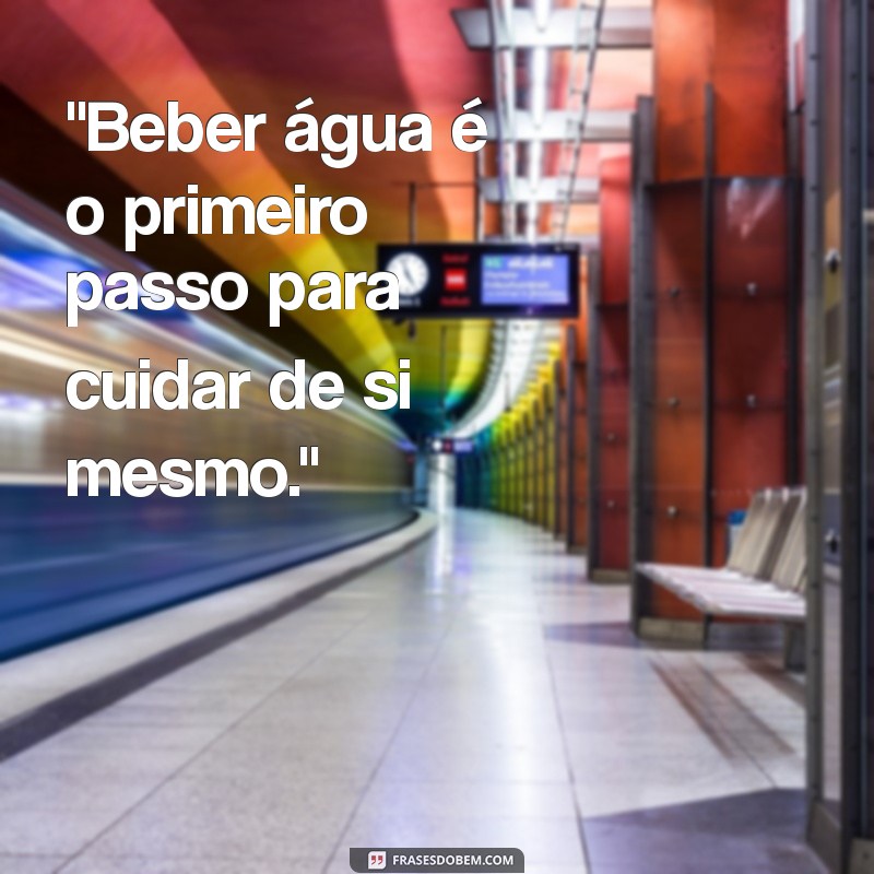 frases sobre beber água 