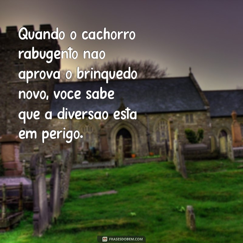 Rabugem em Cachorros: Causas, Sintomas e Como Tratar 